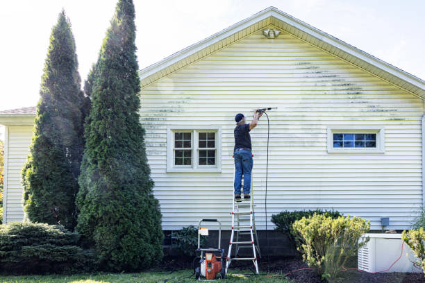 Best Driveway Pressure Washing  in Tillson, NY
